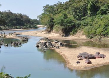 Zone aurifère de Mandourou